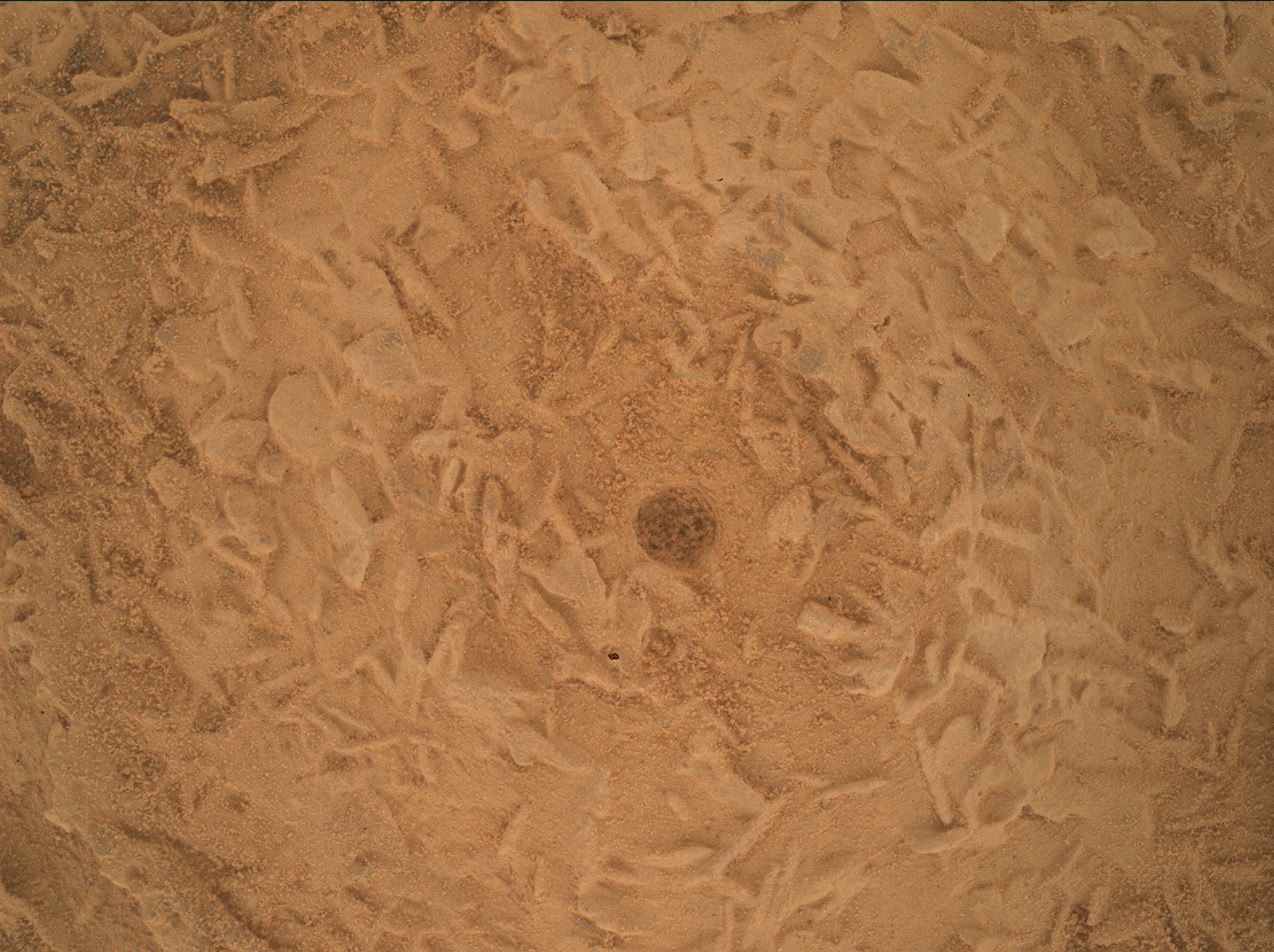 Enlarged MAHLI focus-merged view of the brushed Salar de Vacas target and its small disc-shaped rock textures.